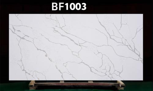 BF1003