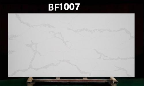 BF1007-