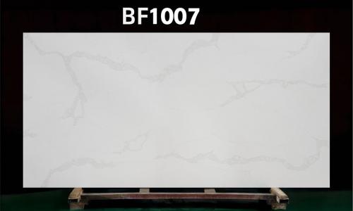 BF1007