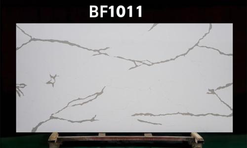 BF1011
