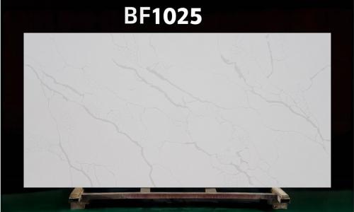 BF1025