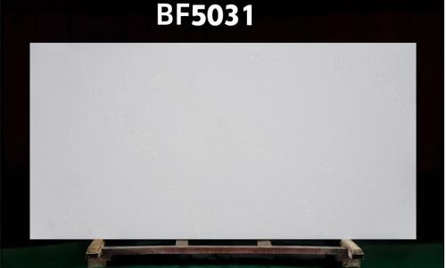 BF5031