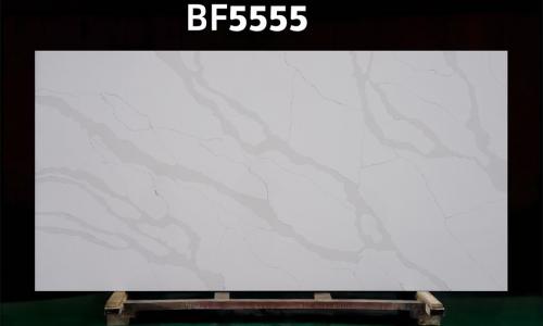 BF5555