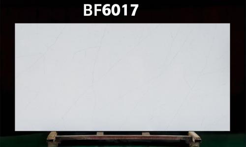BF6017