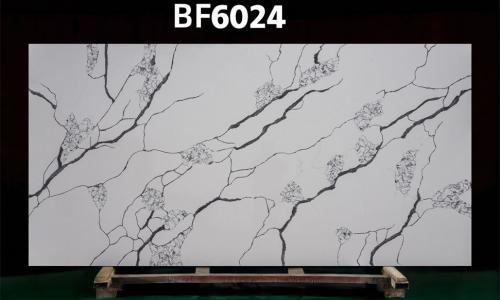 BF6024