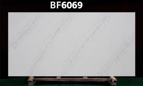 BF6069