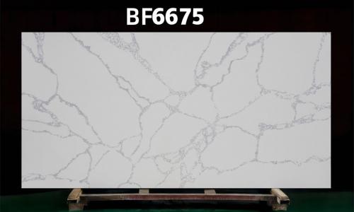 BF6675