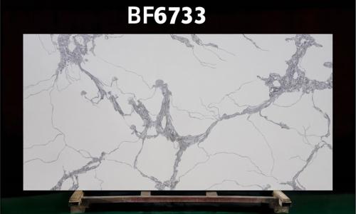 BF6733