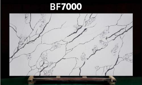 BF7000