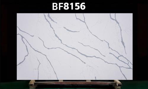 BF8156