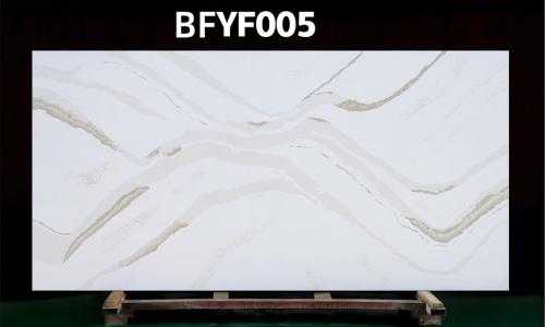 BFYF005