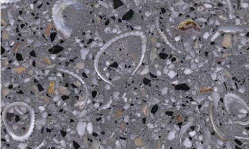 Oyster Cape Terrazzo
